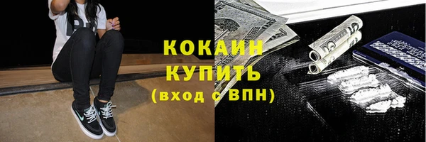 бошки Пересвет