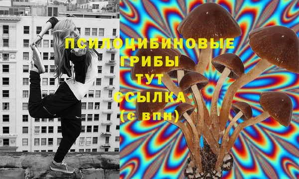 мдпв Кукмор